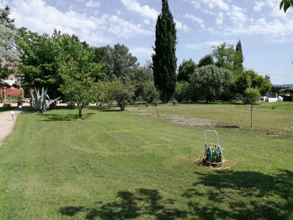 Mas Maurane - L'Olivier Avec Spa Prive Aux Portes D'Arles タラスコン エクステリア 写真