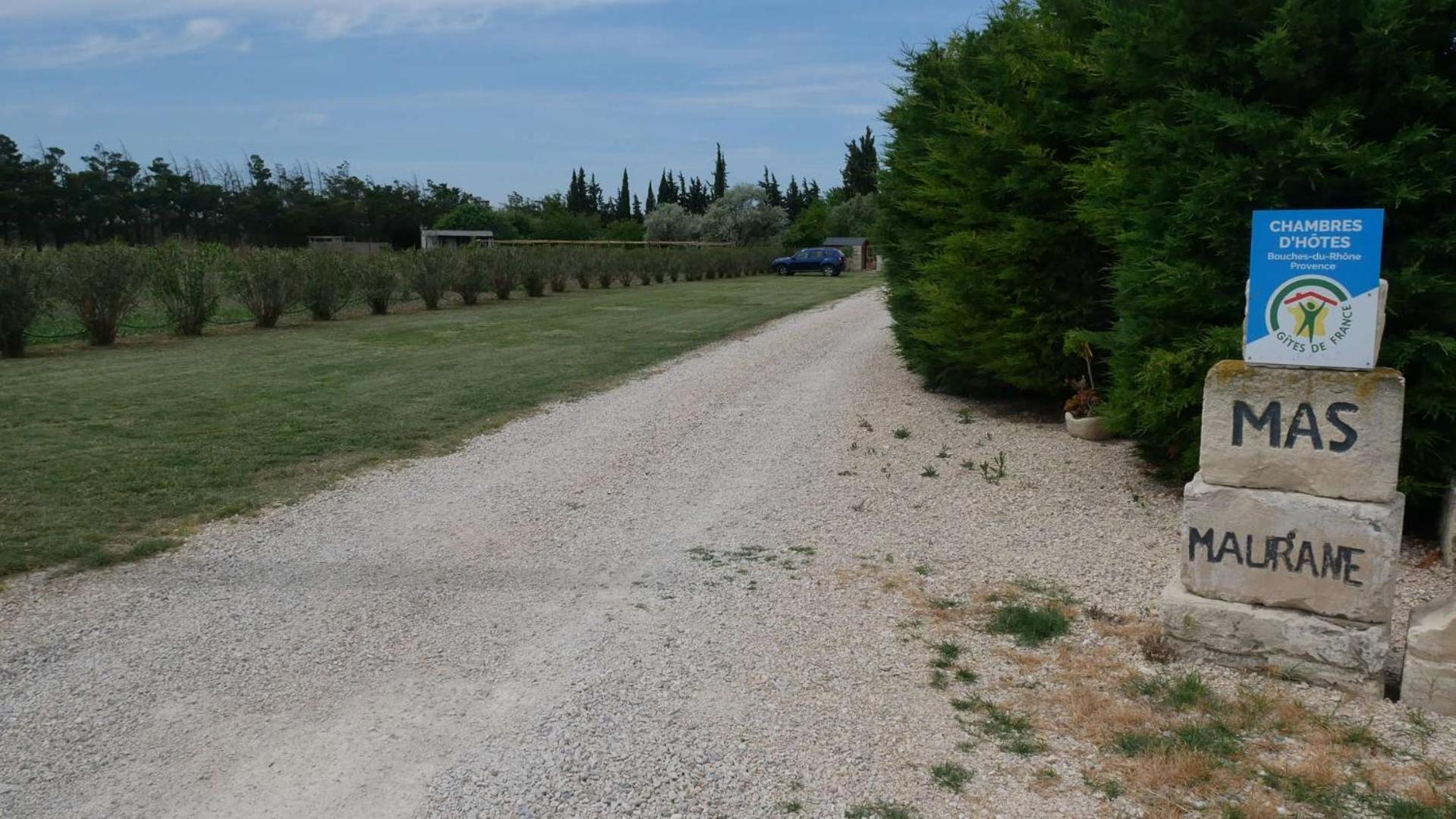 Mas Maurane - L'Olivier Avec Spa Prive Aux Portes D'Arles タラスコン エクステリア 写真